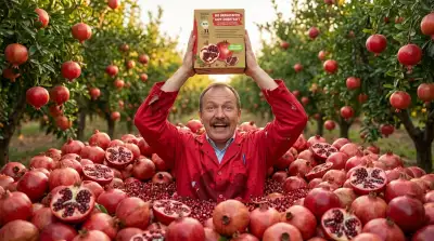 Die 8 besten Granatapfelsäfte im Vergleich (Oktober 2026)