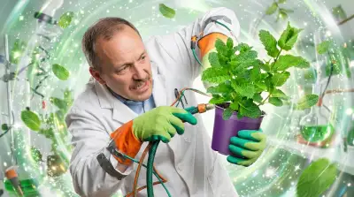 Die 6 besten Minzpflanzen Sets im Vergleich (Oktober 2026)