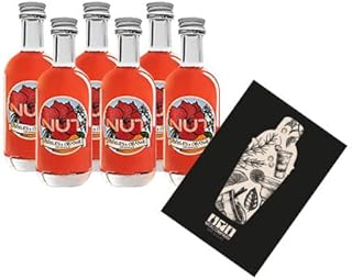 NUT 6er Set MINIATUR Infused Gin Hibiscus Orange 6x 50ml (40% Vol) Hibiskus Orange Gin NUT Distil…