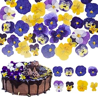 40 Stück 8 Arten natürlich getrocknete,Gepresste,Essbare Blumen zum Dekorieren von Kuchenaufsä…