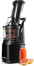 Entsafter Gemüse und Obst – Fruchtsaftpresse Elektrisch Slow Juicer – Saftpresse Kaltpresse …