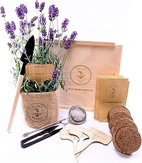 TEE KRÄUTERGARTEN ANZUCHTSET 4 Sorten Pflanzen Samen- garten Starter-Set, öko Saatgut mit Holzk…