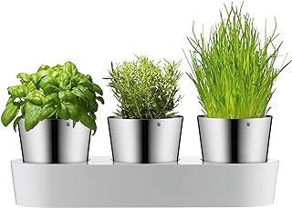 WMF Gourmet Kräutertopf mit Bewässerungssystem 3-teilig, Kräutergarten für die Küche, 36x 12…