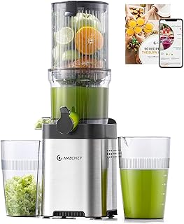 AMZCHEF Entsafter – Slow Juicer mit 120MM Breite und Größere Einfüllschacht für Ganze Gemüse…