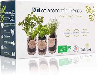 CULTIVEA® Kräuteranzuchtset – Bio Kräutersamen Set für drinnen – Küchenkräuter Anzucht …