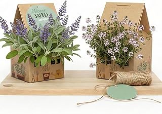 Kräutergarten Set im Minihaus, DIY Anzuchtset mit Basilikum, Bohnenkraut & Kresse, nachhaltiges …