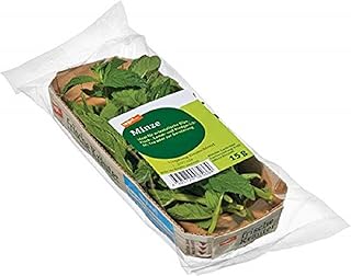 tegut… Minze, 15 g