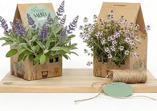 Kräutergarten Set im Minihaus, DIY Anzuchtset mit Basilikum, Bohnenkraut & Kresse, nachhaltiges …