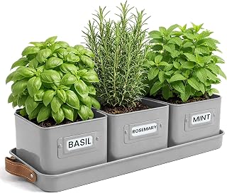 Green Thumbz 3 STK. Kräutertopf – Kräutertöpfe für Deinen Kräutergarten und Fensterbank Inne…