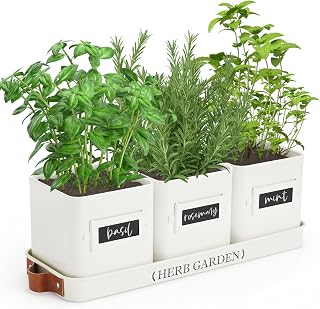 PERFNIQUE Kräutergarten für den Innenbereich, Pflanzgefäß-Set mit Tablett, Bauernhaus-Zimmerp…